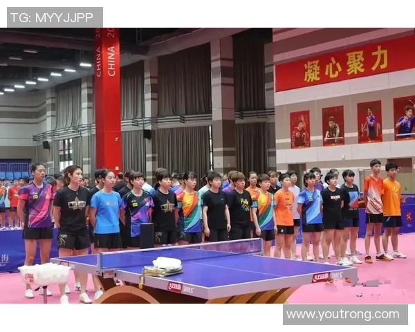 广州乒乓球队耐力训练的深度分析与发展策略探讨